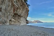 Thumbnail of photo from this article